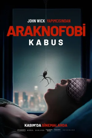 Araknofobi: Kabus